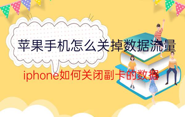 苹果手机怎么关掉数据流量 iphone如何关闭副卡的数据？